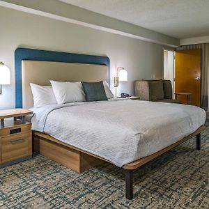 One-Bedroom King Suite